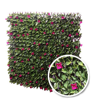 Treillis Extensible BOUGAINVILLIERS