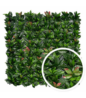 Treillis Extensible FEUILLES DE PHOTINIA 1m x 2m .