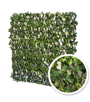 Treillis Extensible FEUILLES DE JASMIN FLEURI 1m x 3m