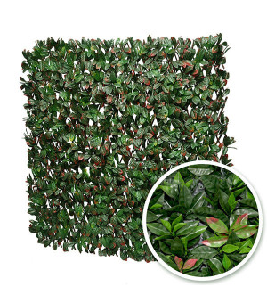 Treillis Extensible FEUILLES DE PHOTINIA 1m x 2m